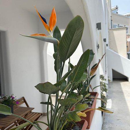 Апартаменты To Spitaki Sas, In Santorini! Мессария Экстерьер фото